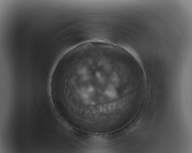 X0000089731104200706281544