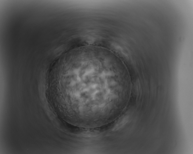 X0000089731105200706281544