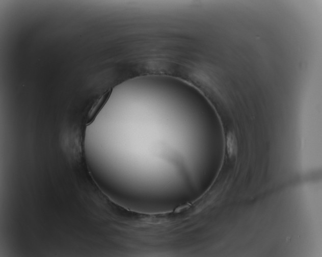 X0000089731107200706281544
