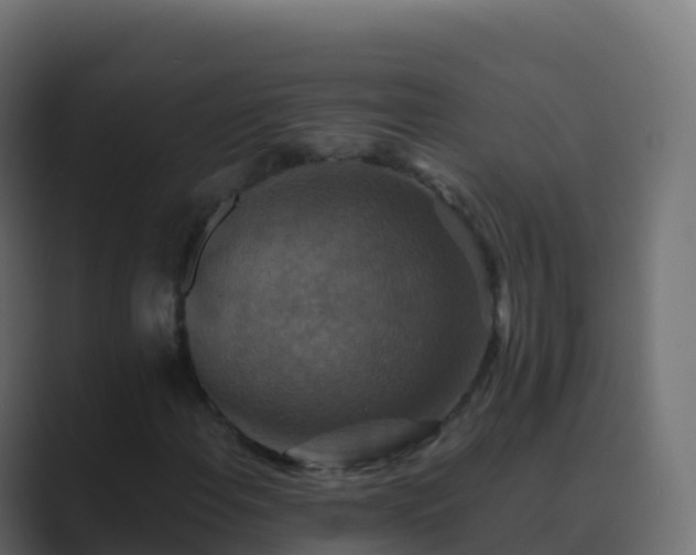 X0000089731108200706281544