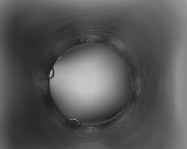 X0000089731109200706281544