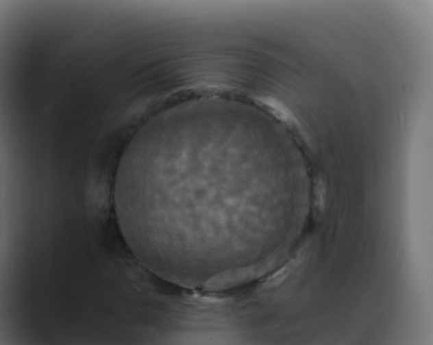 X0000089731110200706281544