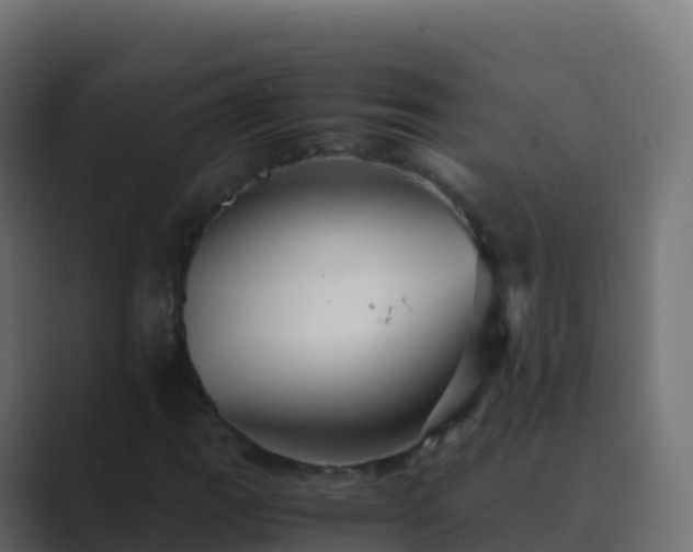 X0000089731111200706281544