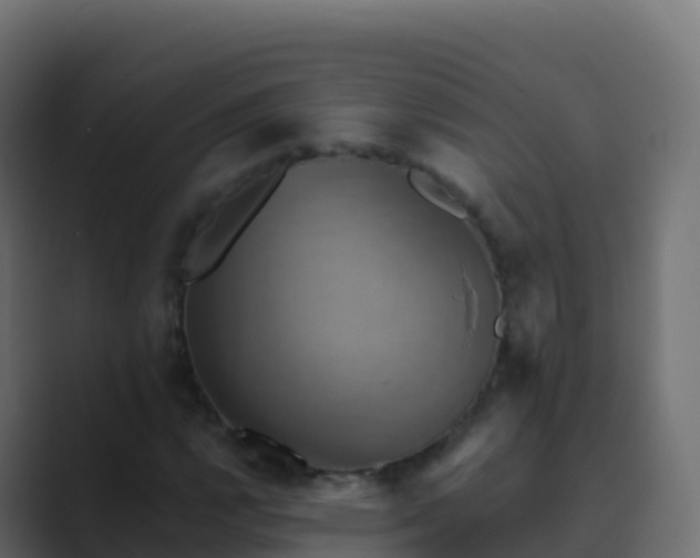 X0000089731112200706281544