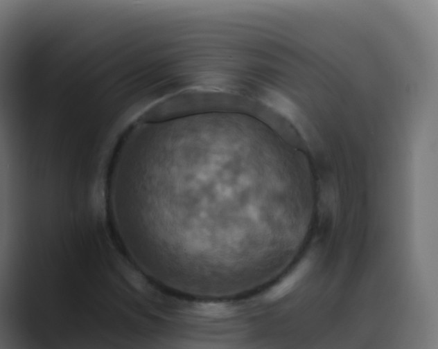 X0000089731114200706281544