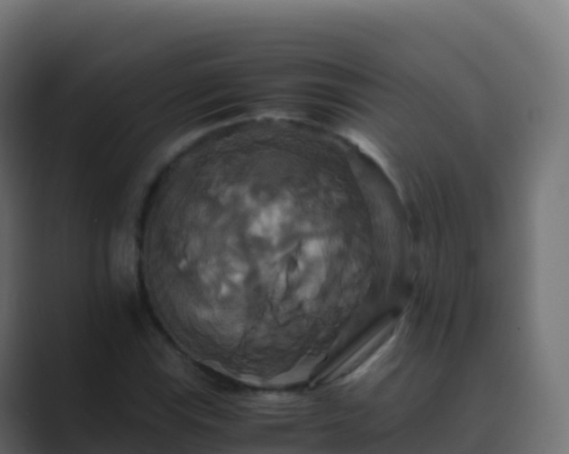 X0000089731115200706281544