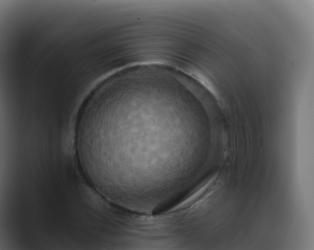 X0000089731116200706281544