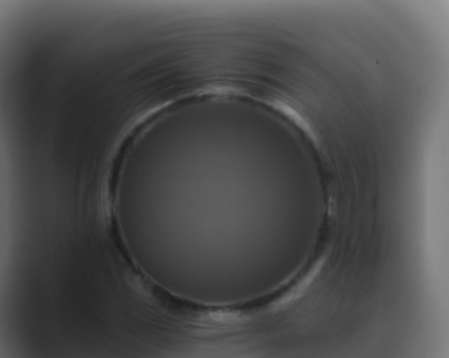 X0000089731117200706281544