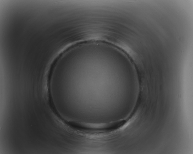 X0000089731118200706281544