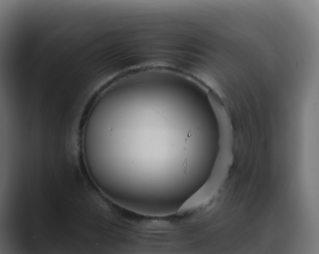 X0000089731119200706281544