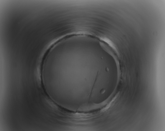 X0000089731120200706281544