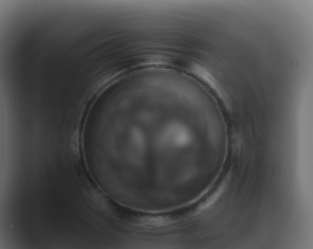 X0000089731121200706281544