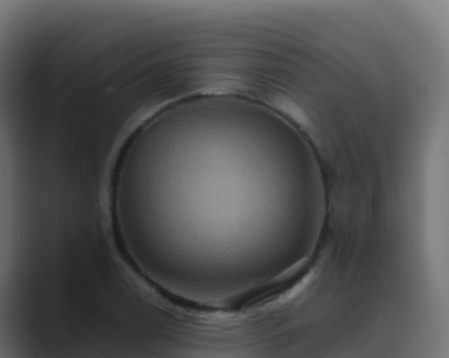 X0000089731122200706281544