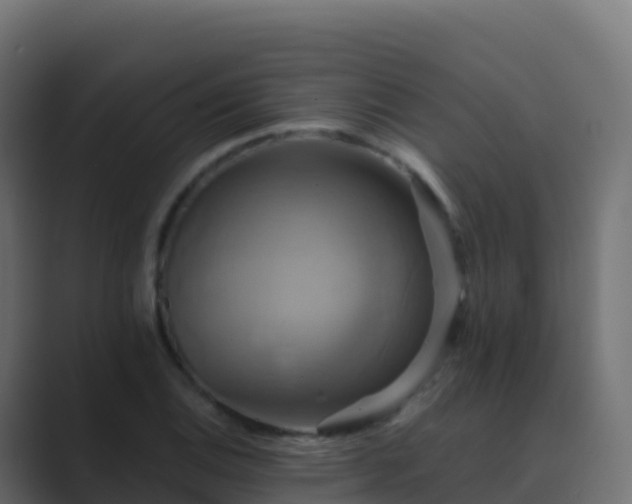 X0000089731124200706281544