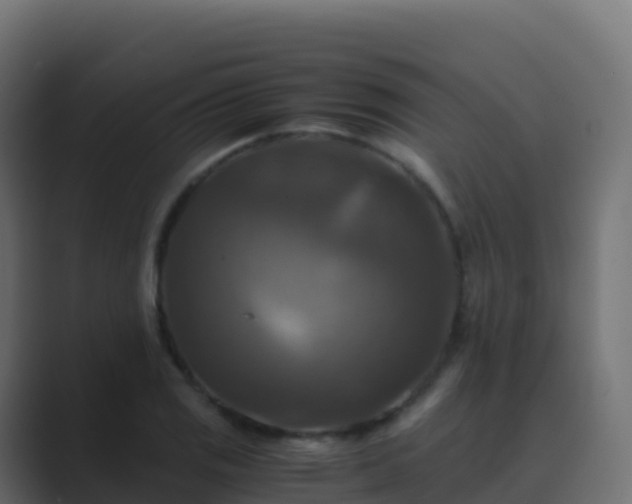 X0000089731125200706281544