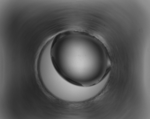 X0000089731128200706281544