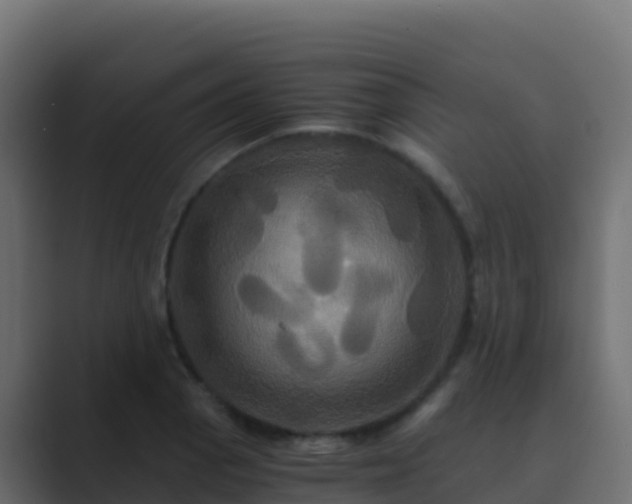 X0000089731129200706281544