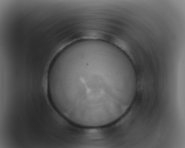 X0000089731130200706281544