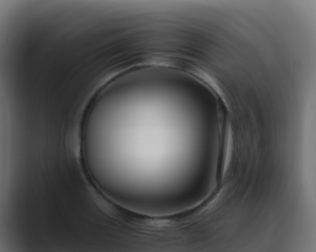 X0000089731131200706281544