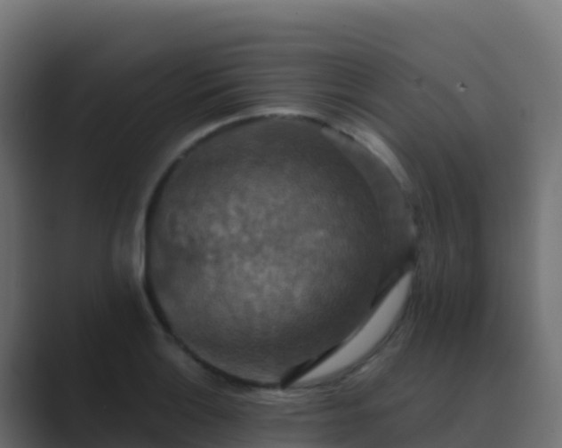 X0000089731132200706281544