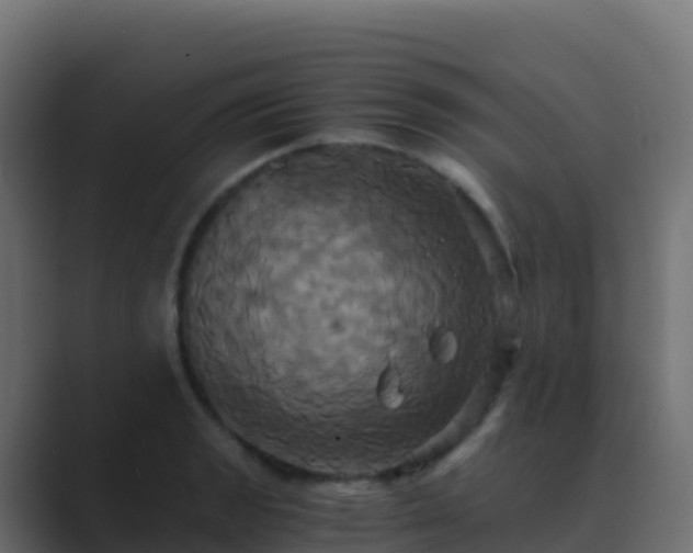 X0000089731133200706281544
