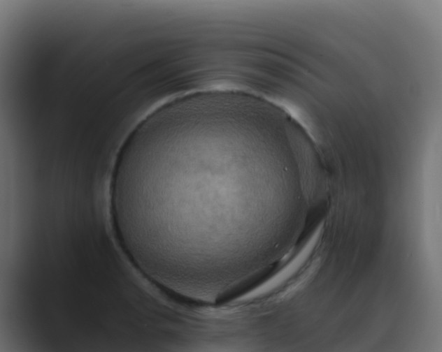 X0000089731134200706281544