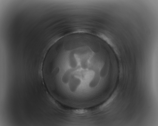 X0000089731137200706281544