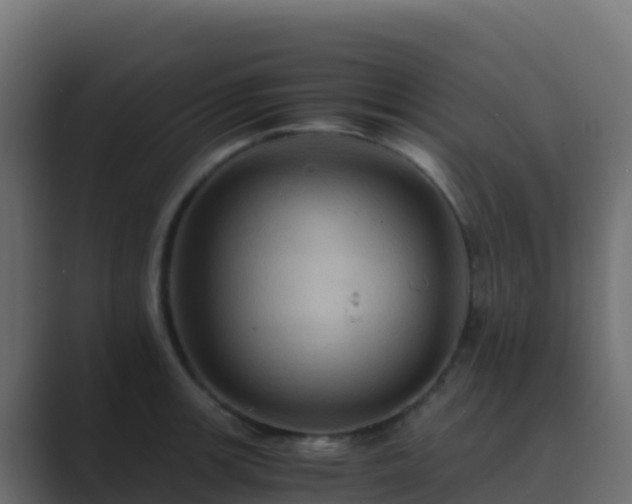 X0000089731139200706281544