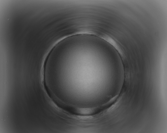X0000089731140200706281544