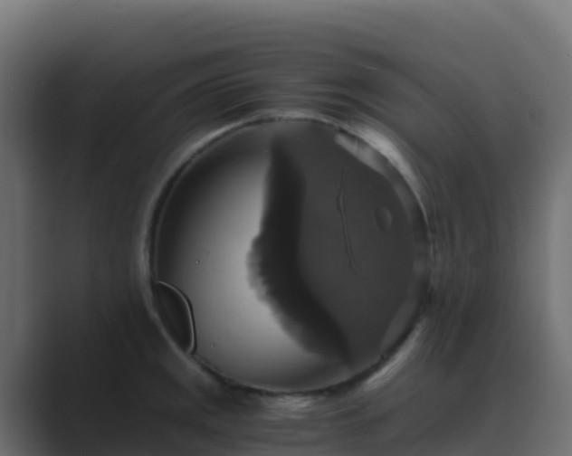 X0000089731141200706281544