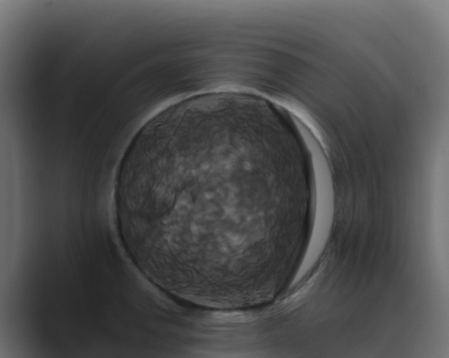 X0000089731142200706281544