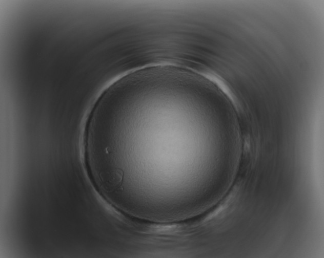 X0000089731143200706281544