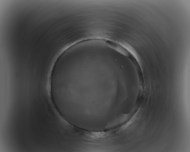 X0000089731144200706281544