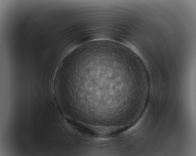 X0000089731145200706281544
