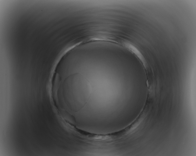 X0000089731146200706281544