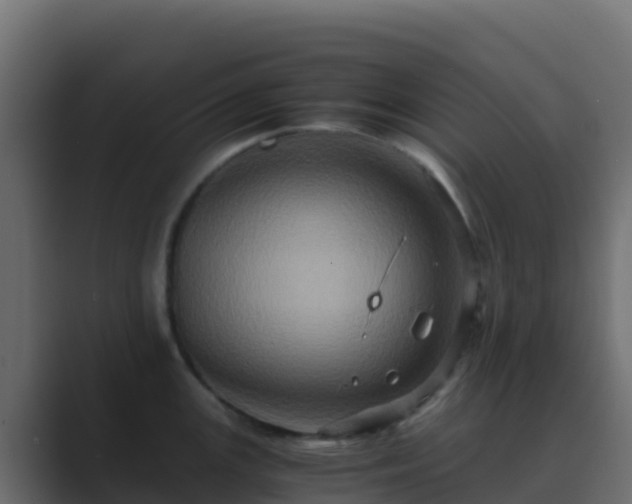 X0000089731147200706281544