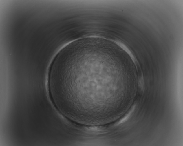X0000089731149200706281544