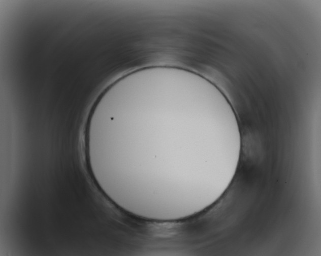 X0000089731150200706281544