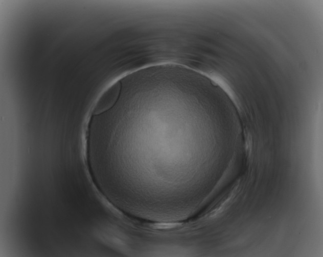 X0000089731151200706281544