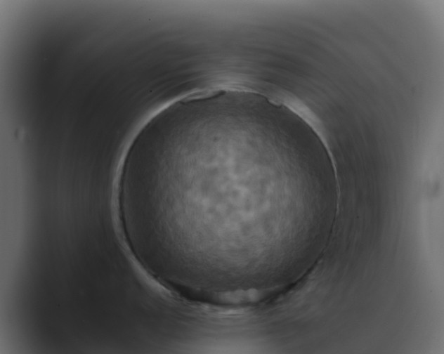 X0000089731152200706281544