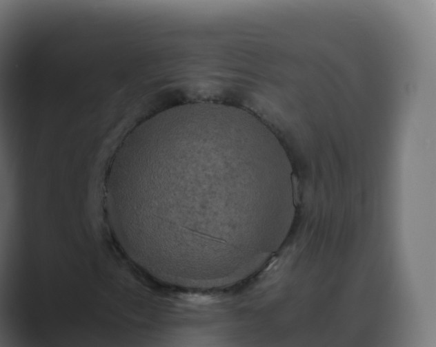 X0000089731153200706281544