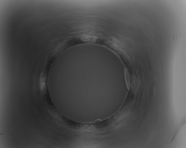 X0000089731154200706281544