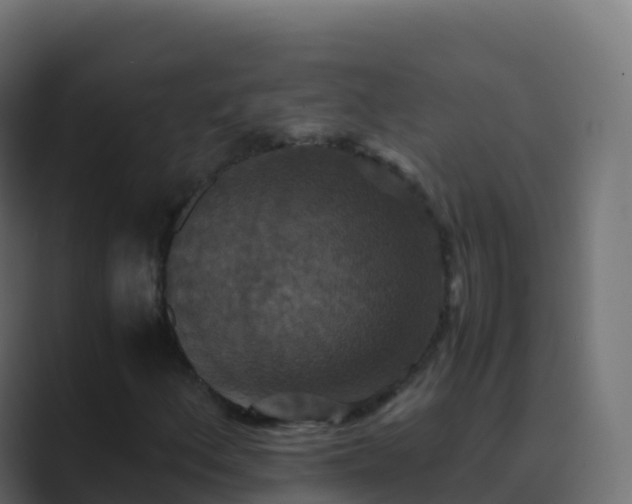 X0000089731156200706281544