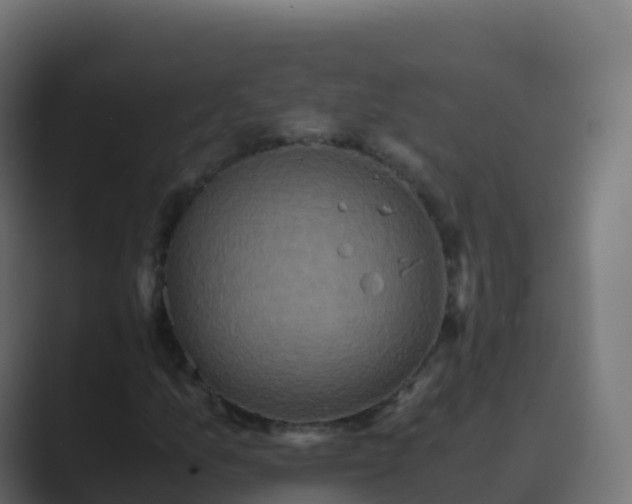 X0000089731157200706281544