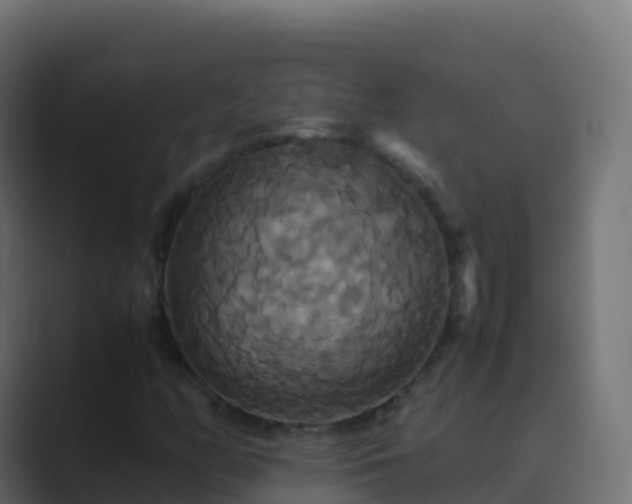 X0000089731158200706281544
