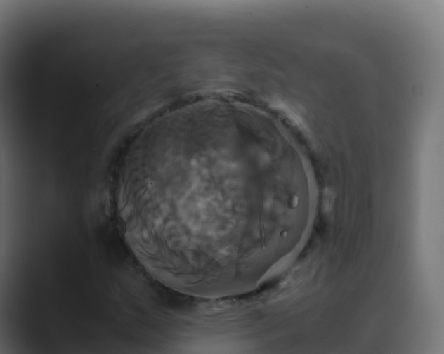 X0000089731159200706281544