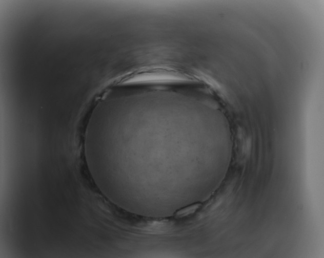 X0000089731160200706281544