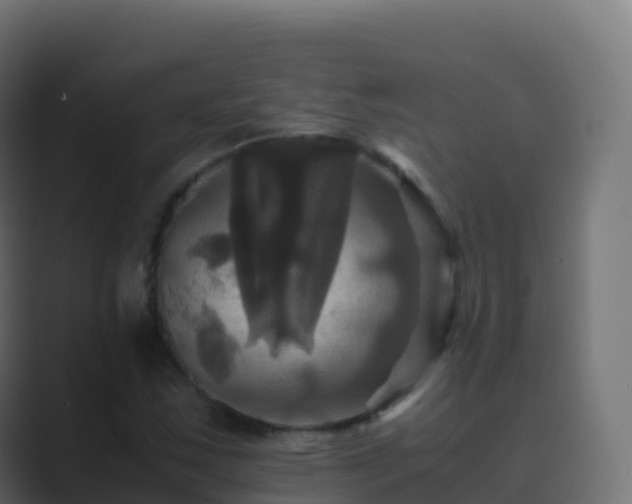 X0000089731163200706281544