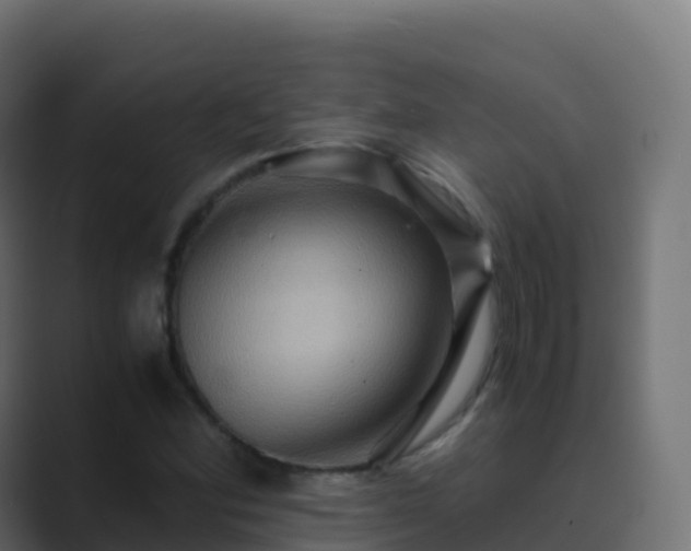 X0000089731164200706281544
