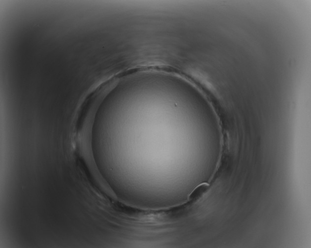 X0000089731165200706281544
